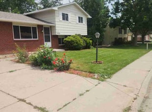LaTosha G.'s Lawn Mowing service result