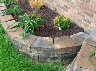 Cleanups by Donnie Jeffries for Silvia A. in Springfield, MO