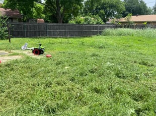 Cleanups by Shameem Mohmand for amanda s. in Arlington, TX