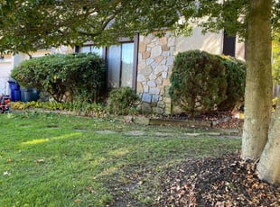 Bush Trimming by Ted Reimel for Sharon P. in Voorhees Township, NJ