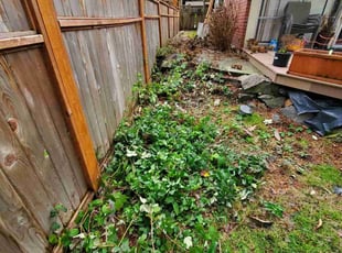 Gaylon C.'s Bush Trimming service result