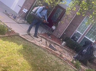 Bush Trimming by Simon Sanchez Jr for Lisa S. in Bedford, TX