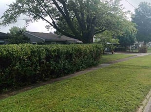 Bush Trimming by John Schmidt for Anthony M. in Elyria, OH