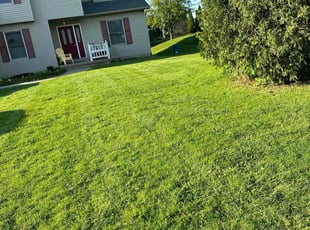 Nicole L.'s Yard Cutting service result