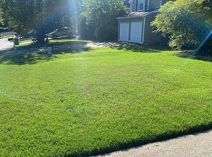 Earle D.'s Lawn Care service result