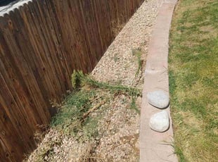 Cleanups by Chen Vang for Zared N. in Brighton, CO
