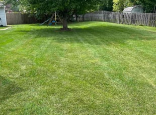 Marcia M.'s Grass Cutting service result