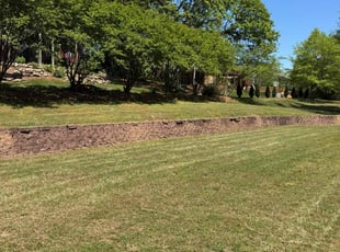 Steve M.'s Lawn Mowing Service service result