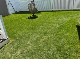 Linda C.'s Lawn Service service result