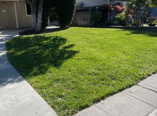 James C.'s Lawn Mowing service result