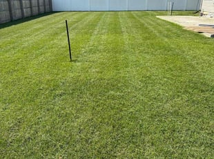Deborah W.'s Lawn Care service result