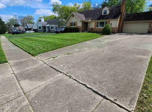 Dan P.'s Lawn Mowing service result