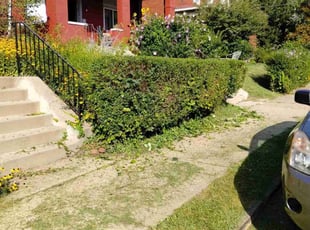 Bush Trimming by Marlon Hardman for Lorraine J. in Pittsburgh, PA