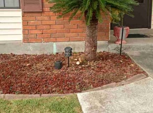 Weeding by Terry Felo for Jacqualyn R. in Gretna, LA