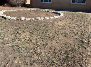 Weeding by Manuel Lucero for Megan L. in Albuquerque, NM