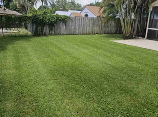 Donna H.'s Lawn Mowing service result