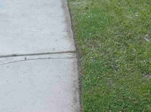 Lorraine A.'s Lawn Mowing service result