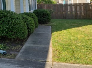 Bush Trimming by Victor Rivera for Colleen J. in Suffolk, VA