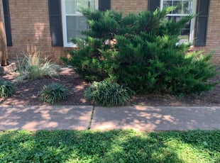 Landscaping by Alec Brown for Sean F. in Hendersonville, TN