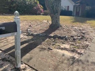 Cleanups by Jonathan Clark for john d. in Sugar Hill, GA