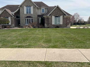 Felix A.'s Yard Cutting service result