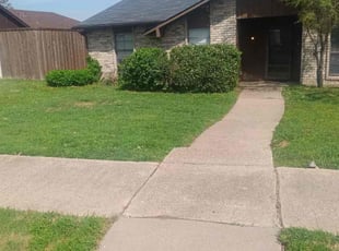 Bush Trimming by Brian Orozco for Jonathan G. in The Colony, TX
