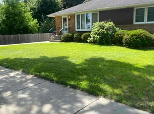 Olu A.'s Lawn Care service result