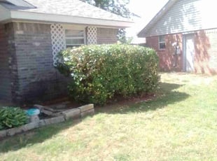 Bush Trimming by Kimberly Corbit for Shelley G. in Norman, OK