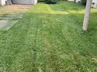 Bev C.'s Lawn Mowing service result