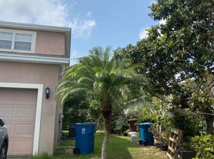 Bush Trimming by Roger Waddle for Shanequia M. in Davenport, FL
