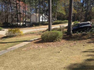 Bush Trimming by David Clark for Aubrey F. in Sharpsburg, GA