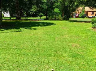 Emanuell L.'s Lawn Service service result