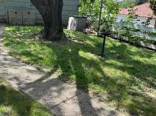 Bush Trimming by Ernest Hale III for Steve L. in Minneapolis, MN