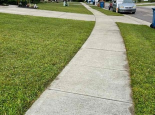 John Z.'s Lawn Mowing service result