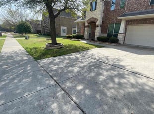 Elba S.'s Lawn Mowing service result