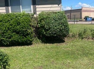 Bobbie L.'s Bush Trimming service result