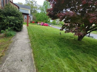 Cleanups by Patrick Blake for Robert J. in Dundalk, MD