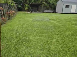 Tara M.'s Lawn Care service result