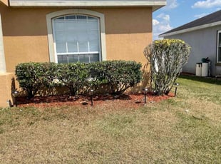 Bush Trimming by Hanif Ibn King for Sara M. in Lakeland, FL