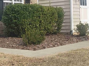 Weeding by Roberto Carrasco for Don F. in Charlotte, NC