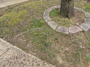 Bush Trimming by Edgar Elmore for Raleigh B. in Montclair, VA