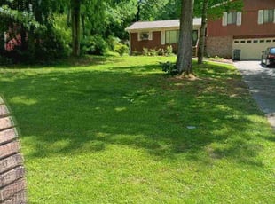 Marie k.'s Lawn Maintenance service result