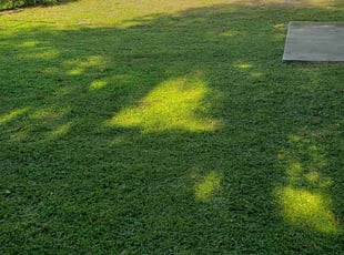 Ernest H.'s Lawn Care service result