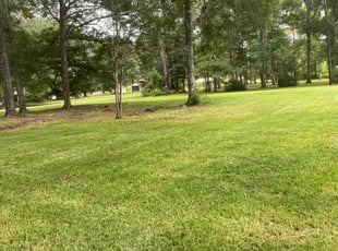 phillip C.'s Lawn Mowing Service service result