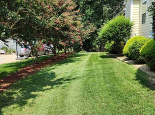 Denise M.'s Lawn Mowing service result