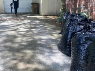 Leaf Removal by Sharone Kinlock Sr for Pantelis A. in Charleston, SC