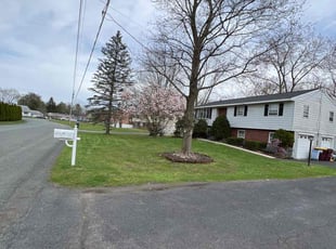 Donna A.'s Lawn Care service result