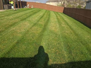 Marlena B.'s Lawn Care service result