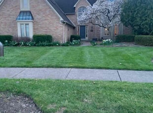 Leaf Removal by B.J. Schuetz for Grace B. in Westerville, OH