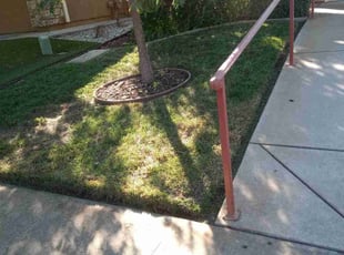Larry C.'s Lawn Mowing Service service result